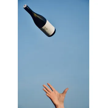 Víno Karmelit 2024, moravské zemské víno, Vinařství Ladislav Holec, polosladké