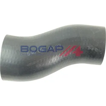 Turbodmychadlo Hadice plnícího vzduchu BOGAP C1711141