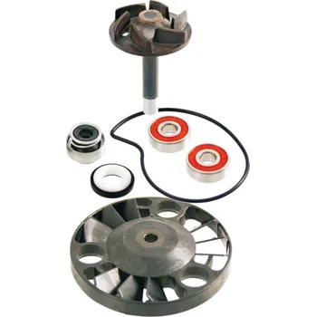 Těsnění motoru RMS opravná sada vodní pumpy PIAGGIO BEVERLY 125/200 01-05; X8 125/200 04; X9 125/200 00- 03; GILERA RUNNER 125/180/200 00-04; APRILIA ATLANTIC 125 03-05; SCARABEO 125 03-06 (RMS opravná sada vodní pumpy PIAGGIO BEVERLY 125/200 01-05; X8 125/200 04; X9)