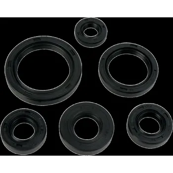 Moto sedlo SADA OLEJOVÉHO TĚSNĚNÍ MSE KAW 822241MSE