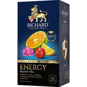 Čaj RICHARD Energy, 20 sáčků