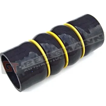 Turbodmychadlo Hadice plnícího vzduchu GT BERGMANN GT52-019