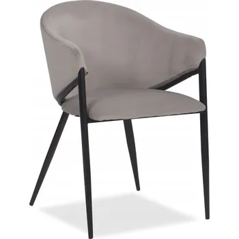Jídelní židle Židle New Home velur šedá 1 ks