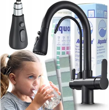 Vodovodní baterie Stojánková kuchyňská baterie Ari Nordic černá