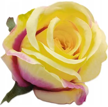 umělá květina Produktová růže, květní hlavička , žlutá a růžová, balení ks