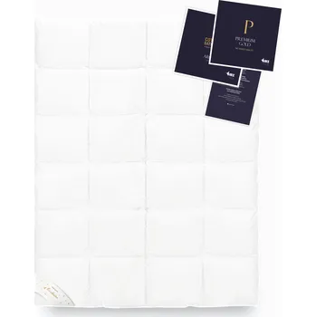 přikrývka Zimní přikrývka 220 x 240 cm antibakteriální teplá bílá AMZ PREMIUM GOLD