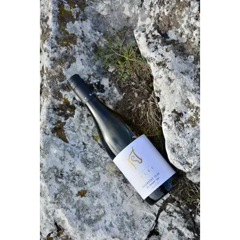 Rulandské šedé 2024, moravské zemské víno, Vinařství Ladislav Holec, polosladké