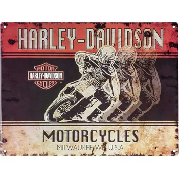 Plechová cedule Plechová cedule Custom Racers Motorcycles, HD, ORIGINÁL