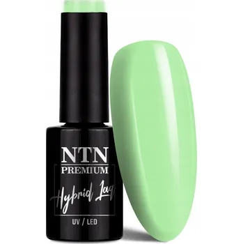 Lak na nehty Hybridní lak NTN 5g California Zelená Pastelová Č. 138