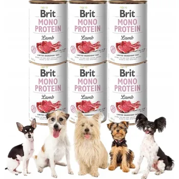 Krmivo pro psa Brit Mono Protein Jehněčí 6 plechovek 400 g