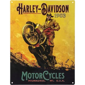 autokoberec Plechová cedule Harley-Davidson Hillclimber, GAD-419
