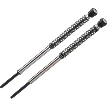 Pressurized cartridge BITUBO Adj: spring preload; Rebound, Compression without oil T0034JBH12WO