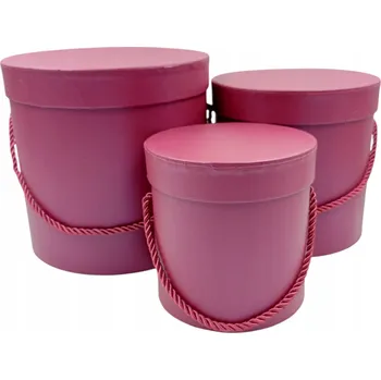 Obraz Krabička květin 3v1 švestka