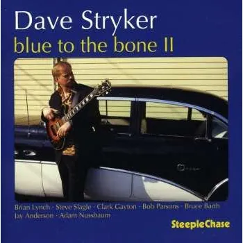 Zahraniční hudba CD Dave Stryker: Blue To The Bone II 2019