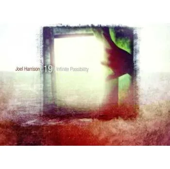 Zahraniční hudba CD Joel Harrison 19: Infinite Possibility 2017