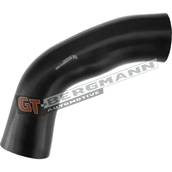 Turbodmychadlo Hadice plnícího vzduchu GT BERGMANN GT52-316