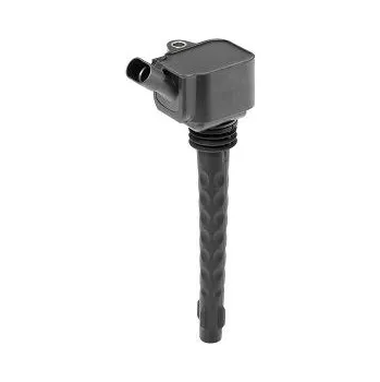 Zapalovací cívka Zapalovací cívka BorgWarner (BERU) ZS573