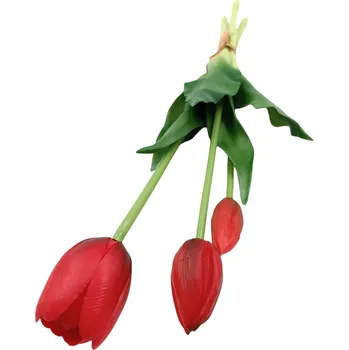 umělá květina TULIPÁNY KYTICE TULIPÁN BÍLÁ 5 KS POGUMOVANÝCH SVĚTLERŮ RŮŽOVÝCH