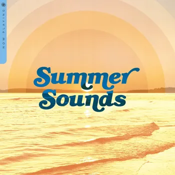 Zahraniční hudba Summer Sounds Vinylová Deska desky různých interpretů