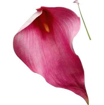 umělá květina UMĚLÁ KALA VĚTVIČKA SILIKONOVÁ DEKORACE KOMPOZICE VYSOKÁ KVALITA XXL 50 cm