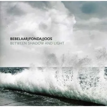 Zahraniční hudba CD Patrick Bebelaar: Between Shadow And Light 2012