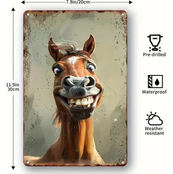 Plechová cedule BAF Kovová cedule Koňské nadšení 30 x 20 cm