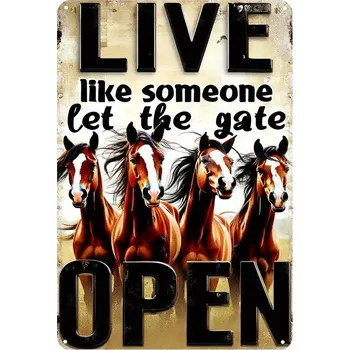 Plechová cedule BAF Kovová cedule Brána je otevřena 30 x 20 cm