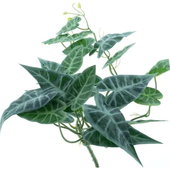 umělá květina Umělá rostlina, zavěsná Alokázie zelená V55 cm