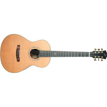 Kytara Dowina 2022 GDE Cocobolo Master Series + prodloužená záruka 3 roky