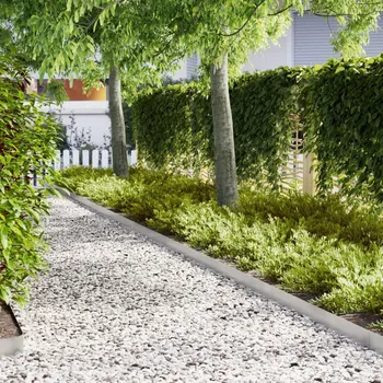 Plot OMAXI Okraj trávníku 50 pcs Stříbrná 100 x 0,05 x 20 cm Nerezová ocel 870254