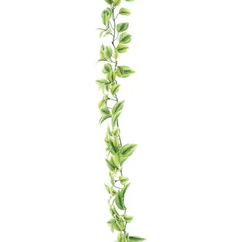 umělá květina Umělá girlanda, Voděnka - Tradescantia girlanda krémová/zelená délka 170 cm
