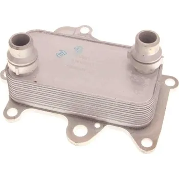 Chladič motoru Chladič oleje Fiat Doblo 1.6D 09- 55273736 PIERBURG