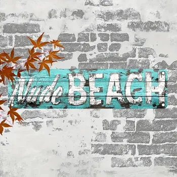 Plechová cedule BAF Kovová cedule Nuda pláž tady tudy 40 x 10 cm