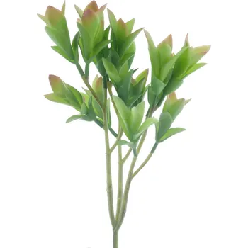 umělá květina umělá větev, Rozchodník - Sedum zelený V35 cm