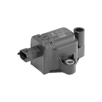Zapalovací cívka Zapalovací cívka BorgWarner (BERU) ZS439