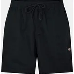 Kraťasy Dickies Black 1106718 Small