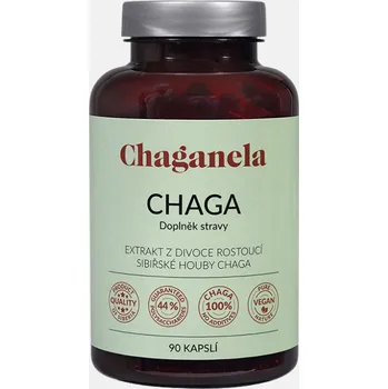 Přírodní produkt Chaganela extrakt ze sibiřské čagy v kapslích (Balení: 90 kapslí)