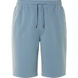 LIVERGY® Pánské teplákové kraťasy (modrá, L (52/54))