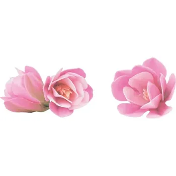 Jedlá dekorace na dort Dortisimo Dekorace z jedlého papíru Magnólie stínovaná růžová 6 ks