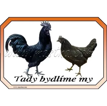 Ayam cemani drůbež, cedulka bydlíme - Bez samolepicí vrstvy