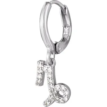 Šperk Dámská kruhová náušnice se znamením zvěrokruhu stříbrná 4