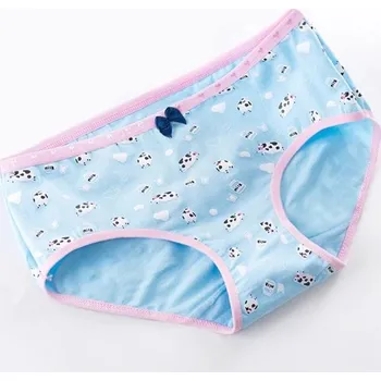 Kalhotky Dámské kalhotky s různými motivy XXL 8