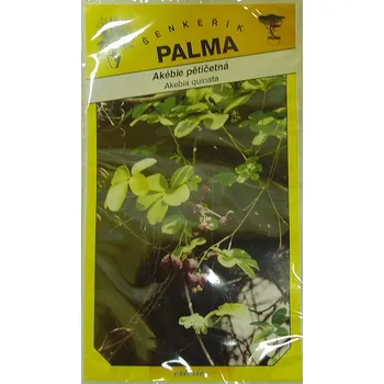 Šenkeřík Akébie pětičetná 15 ks Semeno Šenkeřík Akébie pětičetná 15 ks