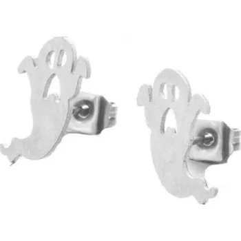 Náušnice Dámské náušnice G266 stříbrná 12