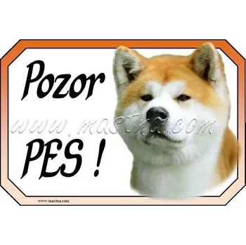 Akita inu cedulka pozor - Bez samolepicí vrstvy