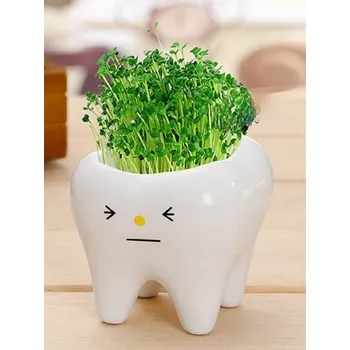 Květináč Dekorativní květináč zub