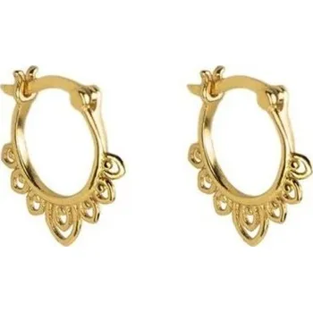 Náušnice Dámské kruhové náušnice R42 zlatá 5