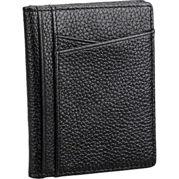 Ledvinka Cestovní pouzdro na doklady T1061 černá