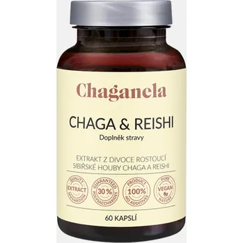 Přírodní produkt Chaganela extrakt z hub Čaga a Reishi v kapslích (Balení: 60 kapslí)