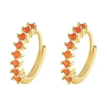 Náušnice Dámské kruhové náušnice H744 14